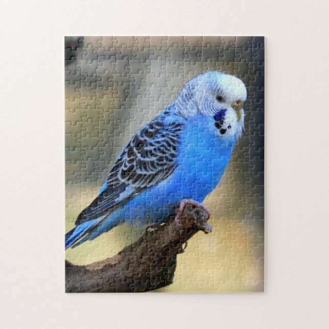 Budgie Jigsaw Puzzle (Vertical)