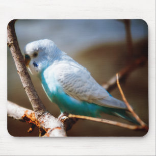Budgie Mouse Pad