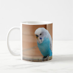 Budgie Mug