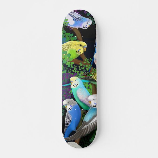Budgie Parakeets Skateboard (Front)