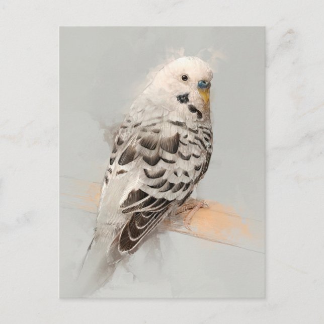 Budgie Portrait No.11 Postcard (Front)