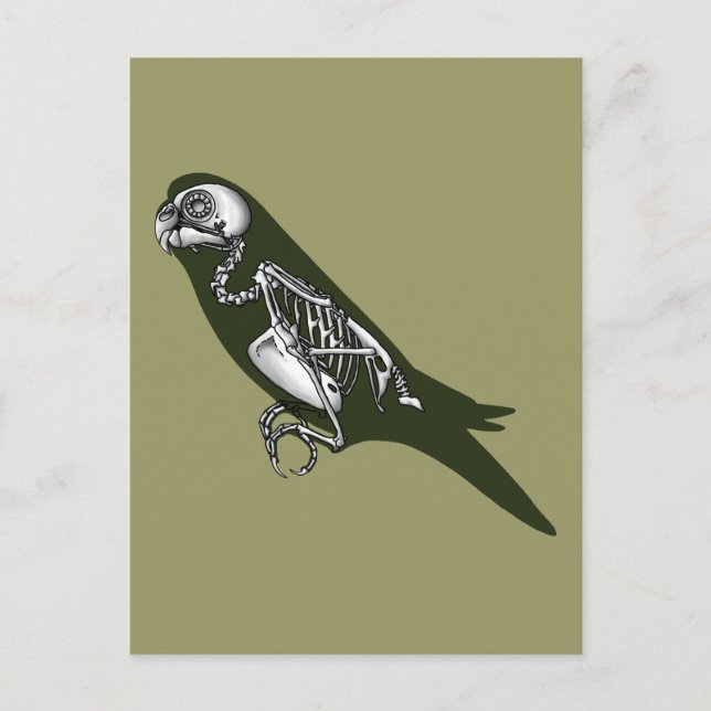 Budgie skeleton postcard (Front)