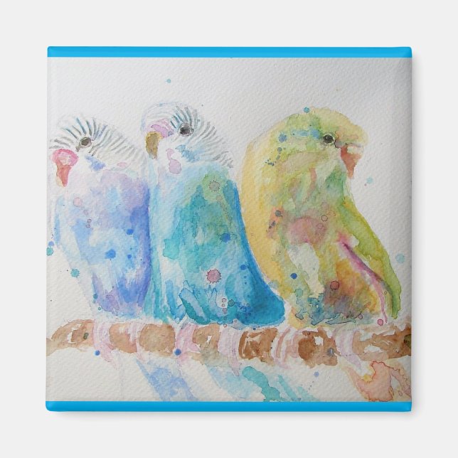 Budgie Watercolour Painting bird Budgies Aqua Teal Magnet (Front)