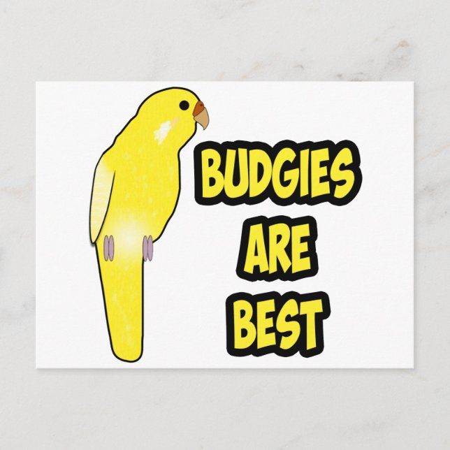 Budgies Are Best Postcard (Front)