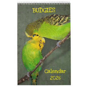 Budgies Calendar 2025