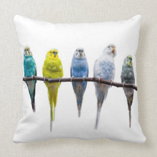 Budgies Cushion