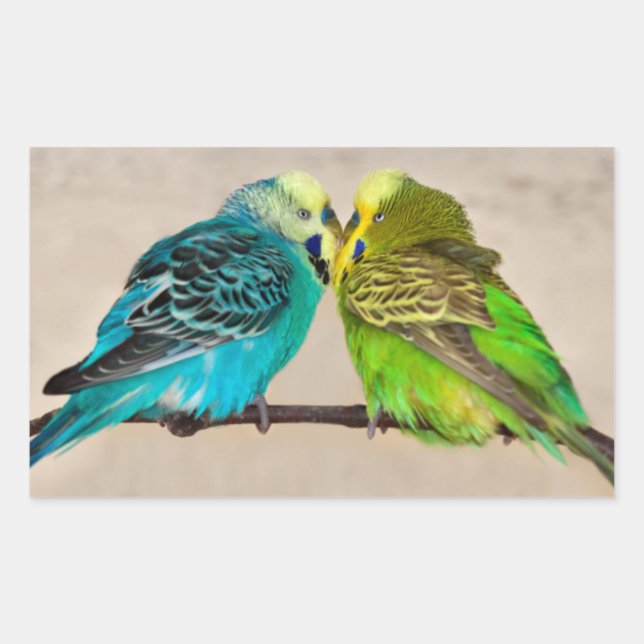 Budgies in Love Sticker (Front)