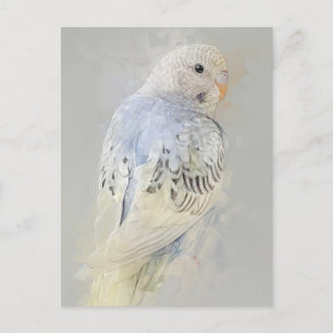Budgies No.7 Postcard