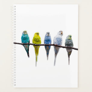 Budgies Planner