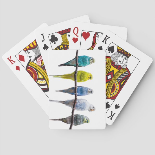 Budgies Playing Cards (Back)