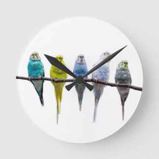 Budgies Round Clock