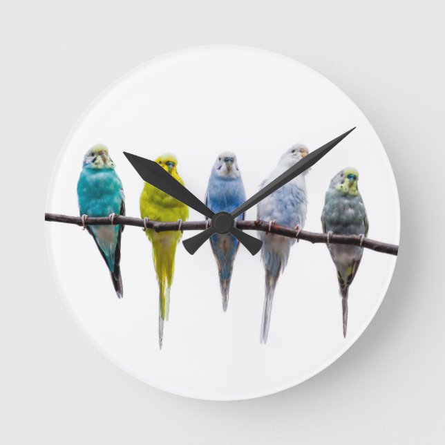 Budgies Round Clock (Front)
