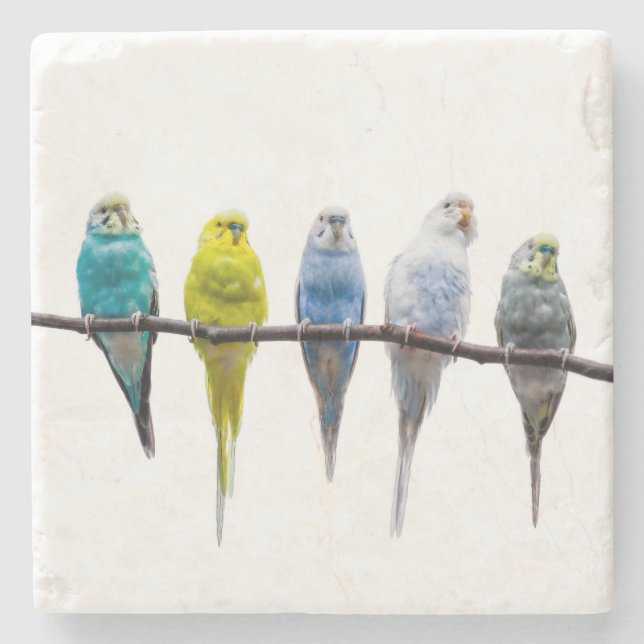 Budgies Stone Coaster (Front)