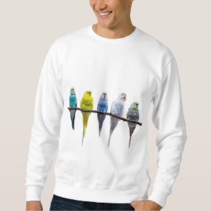 Budgies Sweatshirt