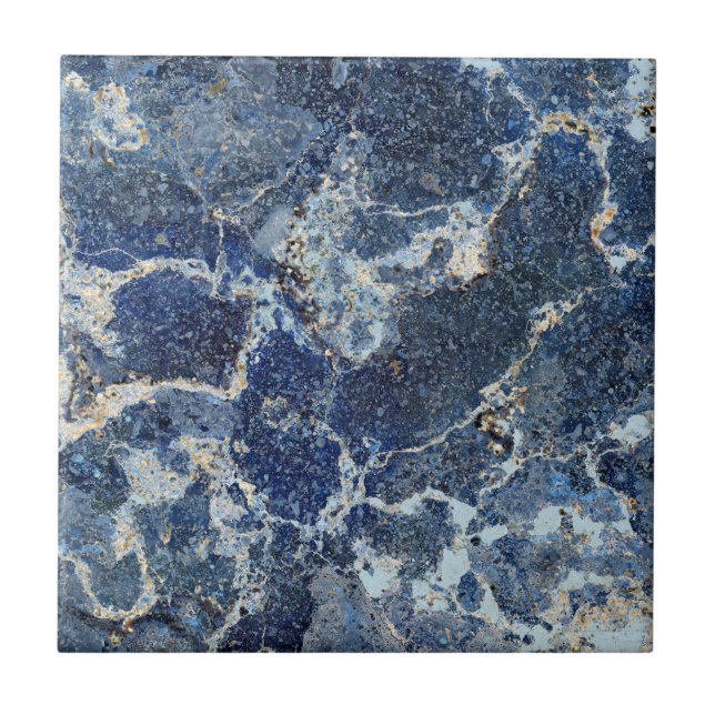 Bue Grey Black Marble & Beige Veins Tile (Front)