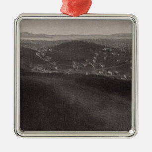 Buena Vista Park, City, from Twin Peaks Metal Tree Decoration