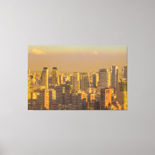 Buenos aires city aerial view canvas print