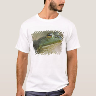 Bufallo National River, Northwest Arkansas T-Shirt
