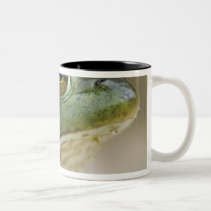 Bufallo National River, Northwest Arkansas Two-Tone Coffee Mug