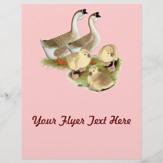 Buff African Goose Family Flyer