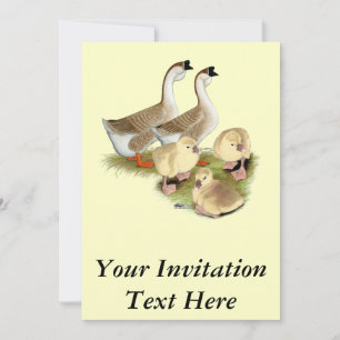 Buff African Goose Family Invitation