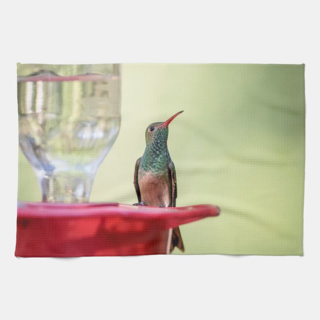 Buff-bellied hummingbird in Texas Tea Towel (Horizontal)