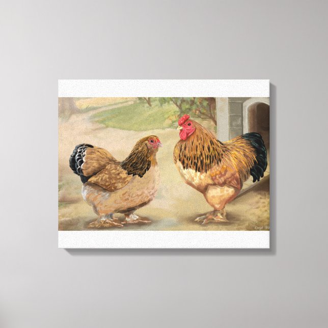 Buff Brahma Rooster and Hen Canvas Print (Front)
