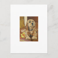 Buff Cocker Spaniel