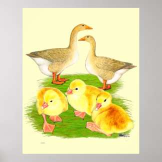 Buff Goose Family Poster