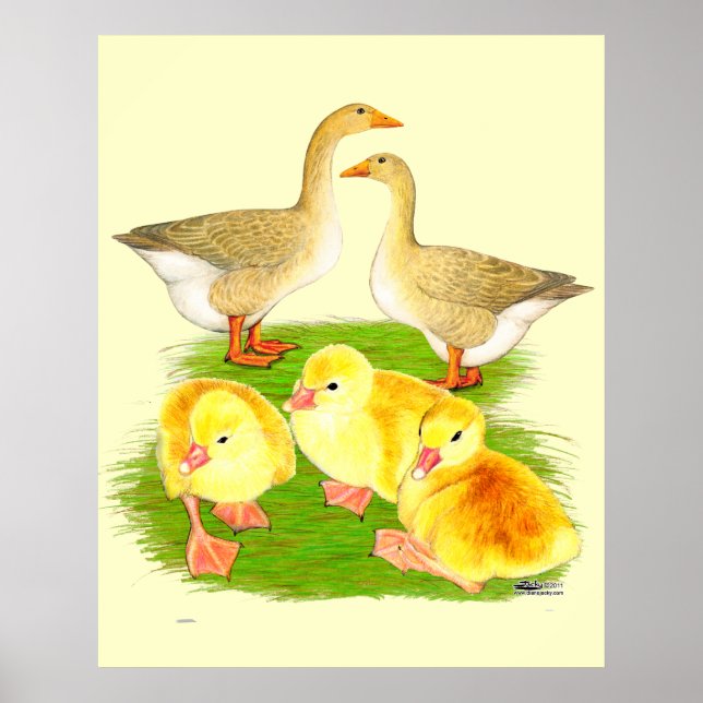 Buff Goose Family Poster (Front)
