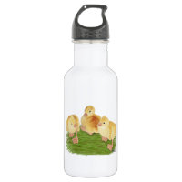 Buff Goslings Tufted