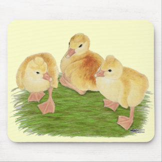 Buff Goslings Tufted Mouse Pad