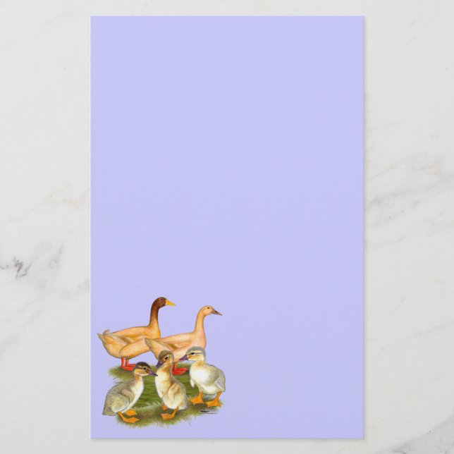 Buff Orpington Duck Family Stationery (Front)