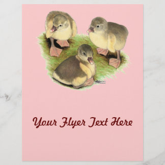 Buff Pomeranian Goslings Flyer