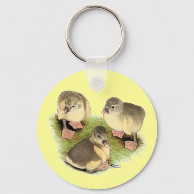 Buff Pomeranian Goslings Key Ring (Front)