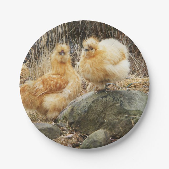 Buff Silkie Chickens Paper Plate (Front)