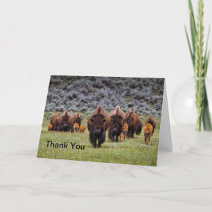 Buffalo 2 Thank You Card