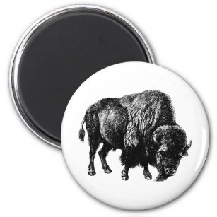 Buffalo American Bison Magnet