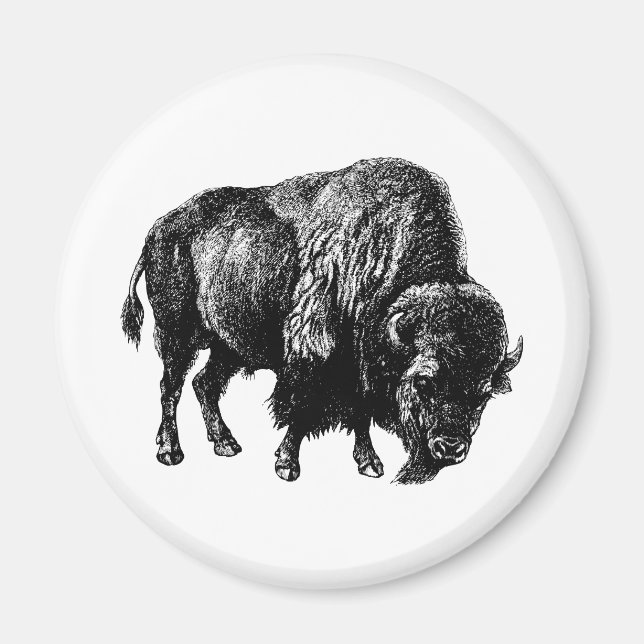 Buffalo American Bison Magnet (Front)