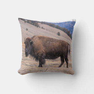 Buffalo Bison Cushion