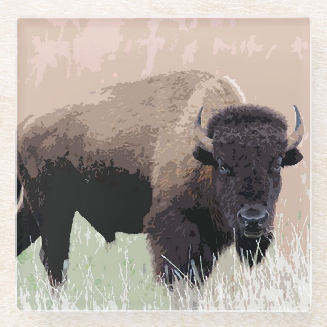 Buffalo / Bison Glass Coaster (Front)