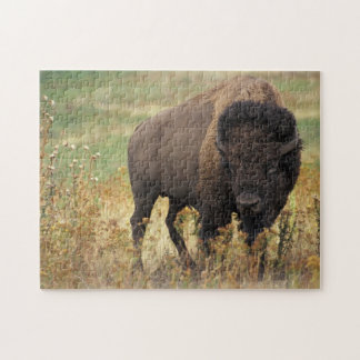 Buffalo Bison Jigsaw Puzzle