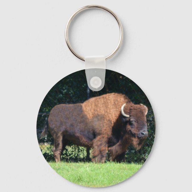 Buffalo (Bison) Kansas, Oklahoma, Wyoming Key Ring (Front)