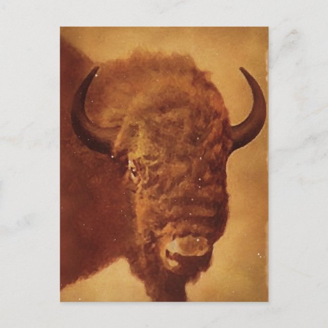 Buffalo / Bison Postcard (Front)