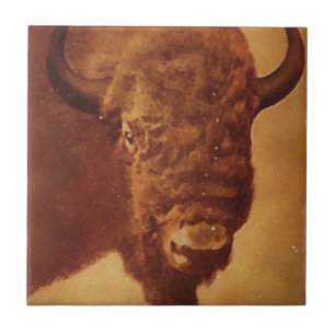 Buffalo / Bison Tile