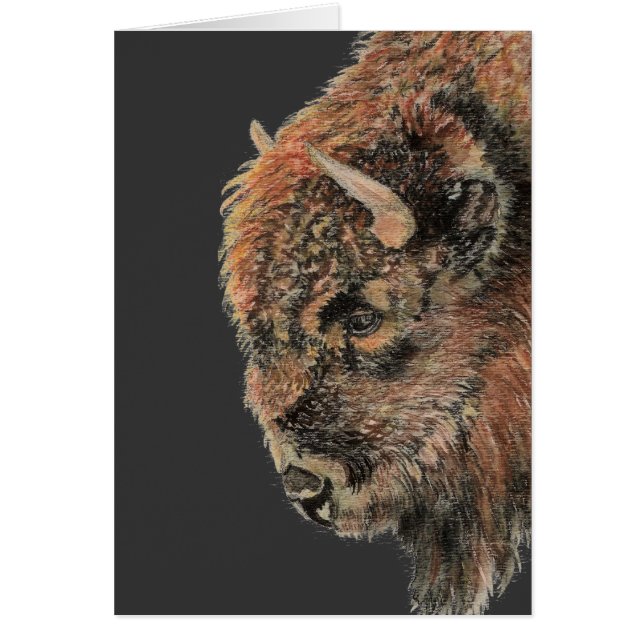 Buffalo, Bison, Watercolor Animal (Front)