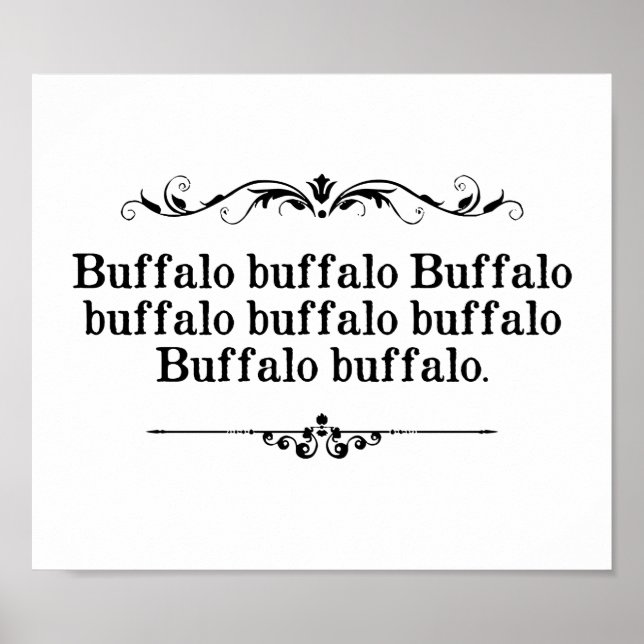 Buffalo Buffalo Sentence Poster (Front)