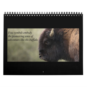 Buffalo Calendar 2013