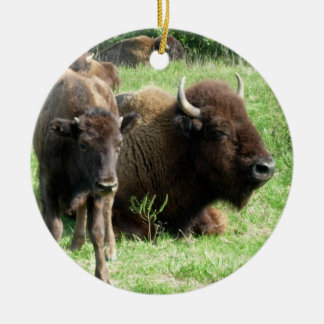 Buffalo can Calf Ornament