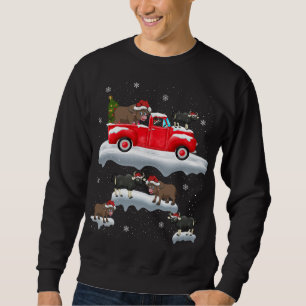 Buffalo Driving Christmas Tree Red Truck Buffalo C Sweatshirt